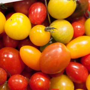 Tomate Cerise cocktail mélange formes et couleurs