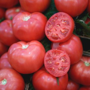 Tomate Rose de berne