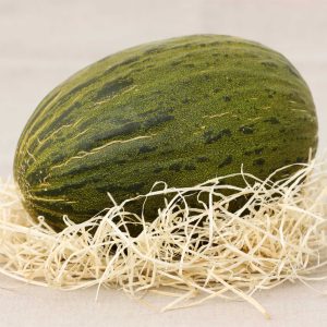Melon vert (type espagnol)