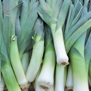 Poireau (botte)