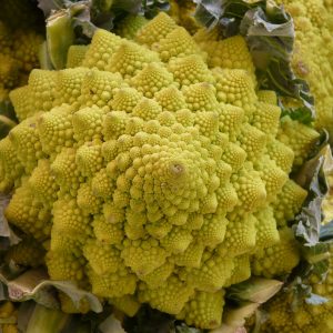Choux romanesco